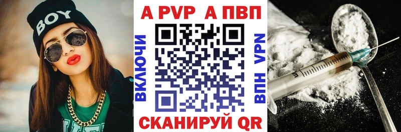 A-PVP СК  Анадырь 
