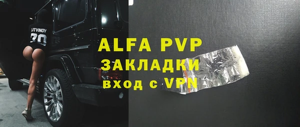 хмурый Абаза