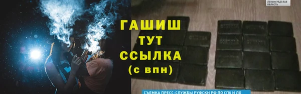 хмурый Абаза