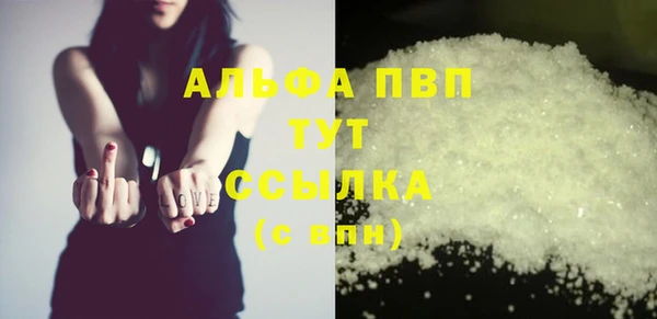 хмурый Абаза