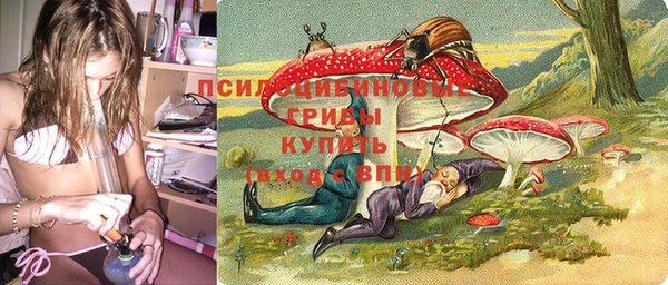хмурый Абаза